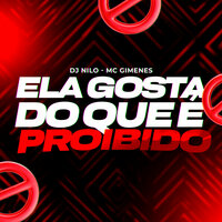 Ela Gosta do Que É Proibido - DJ NILO & Mc Gimenes