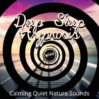 Spiritual Reflections - Deep Sleep Hypnosis Masters