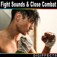 Human Impact or Punch Version 4 - Digiffects Sound Effects Library