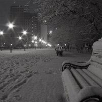 Winter Disorder - 3ntry