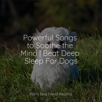 Ocean Air - Jazz Music Therapy for Dogs & Music for Dogs Peace & Dog Music