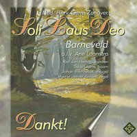Cantate da Chiësa - Johan Bredewout & Riet den Hertog & Arie Loonstra & Marcel van de Ketterij & Ned. Her. Gem. Zangver. Soli Laus Deo