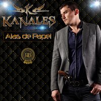 Tropezon De Un Zapo - Kanales