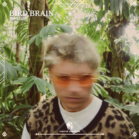 Bird Brain - Max Ken & Cafe De Anatolia