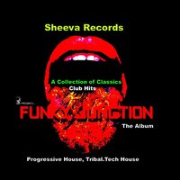 Orgasm - Funky Junction & Two Fingers