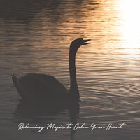Calming Nature Space (Flute, Rain & Waves) - Children of Mother Nature