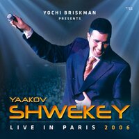 Malachim - Yaakov Shwekey