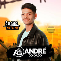 Sou Vaqueiro Sou - ANDRÉ DO GADO
