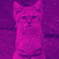 Remarkable Ambiance for Kitten Anxieties - Music For Cats