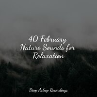 The End of Today - Musica relajante & Relaxing music & Musica Relajante Para Dormir