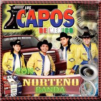El Pavido Navido - Los Capos De Mexico
