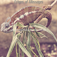 Peaceful Ambience for Spa Treatments - Charming Relaxing Spa Music