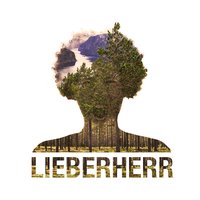 Dirt - Lieberherr