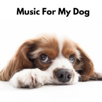 Lullabies for Dogs - The Dog Relaxer & Relax My Dog Music & Relaxing Music for Dogs