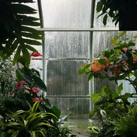 Gracious - Zen Music Garden & The Rainforest Collective & Relajacion Del Mar