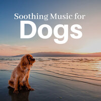 Inner Balance - Music for Dogs Collective