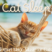 Stretch & Sigh - RelaxMyCat & Cat Music Dreams & Cat Music Zone