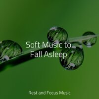 Poetry of Water - Best Kids Songs & Meditation Relaxation Club & Anxiety Relief