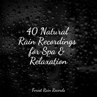 Stream, Constant, Flowing, Midday - Sonidos De Lluvia y Tormentas & The Relaxing Sounds of Water & Music to Relax in Free Time