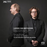 Piano Concerto No. 1 in C Major, Op. 15: Rondo. Allegro - Hannes Minnaar & The Netherlands Symphony Orchestra & Ludwig van Beethoven