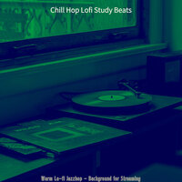 Terrific Lofi Chill-hop - Vibe for Streaming - Chill Hop Lofi Study Beats