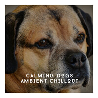 Anti Stress Sounds For Dogs - Relaxing Dog Chillout