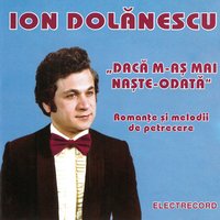 La Casa Cu Poartă Verde - Ion Dolanescu