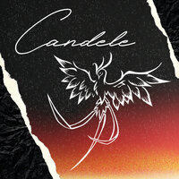 Candele - Taz