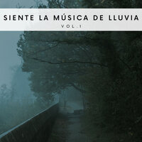 Sonidos Relajantes De Lluvia Para Dormir - Sonidos De Truenos y Lluvia & Cascada de Lluvia & Lluvia Relajante