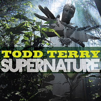 Supernature - Todd Terry