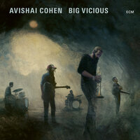 Teardrop - Avishai Cohen & Big Vicious