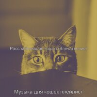 Мечты (Сонные кошки) - Музыка для кошек