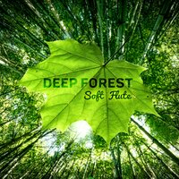 Ambient Relaxation - Nature Meditation Academy