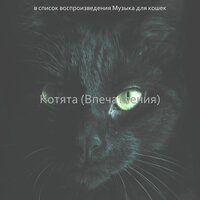 Созерцая (Подчеркнутые кошки) - Музыка для кошек