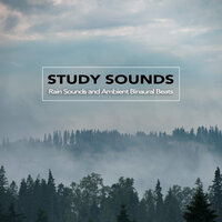 Isochronic Tones For Reading - Binaural Beats Sleep & Study Music & Sounds & Binaural Beats Library