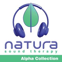 ALPHA 10hz - Creative Visualization 2 - Natura Sound Therapy