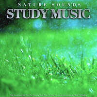 Study Music With Rain Sounds For Concentration - Study Music & Sounds & Studying Music & Einstein Study Music Academy