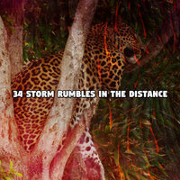 Nourishing Water - Rain Sounds