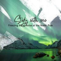 Freezing Wind Noise at the North Pole, Pt. 20 - Sebastian Riegl
