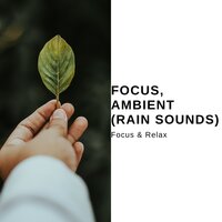 Brain Mapping - Focus & Relax