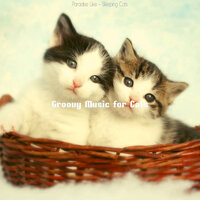 Music (Visions) - Groovy Music for Cats