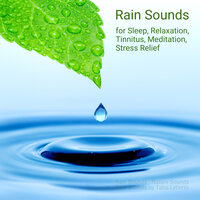 Relaxation Method - Rain Sounds & Nature Sounds & Rain Sounds by Taha Lyberth