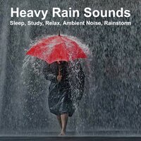 Heavy Rain Sounds at Night - Sleep, Study, Relax Pt.20 - Nature Sounds Peace