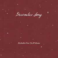 December Song - Birdtalker & Joy Williams