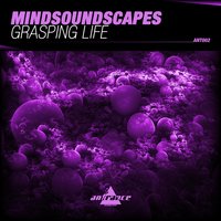 Grasping Life - Mindsoundscapes