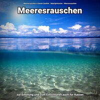 Schwelgende Meereswellen - Meeresrauschen in bester Qualität & Naturgeräusche & Meeresrauschen