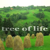 Tree of Life - Ketaneo