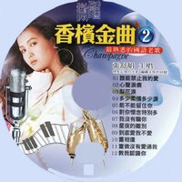 當做沒有愛過我 - 張舒娟