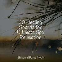 Walking the Quiet Path - Pro Sound Effects Library & Sleep Sounds Of Nature & Studying Music