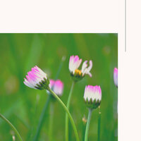 Tranquil Sleepy Sundays - Instrumental Study Music
